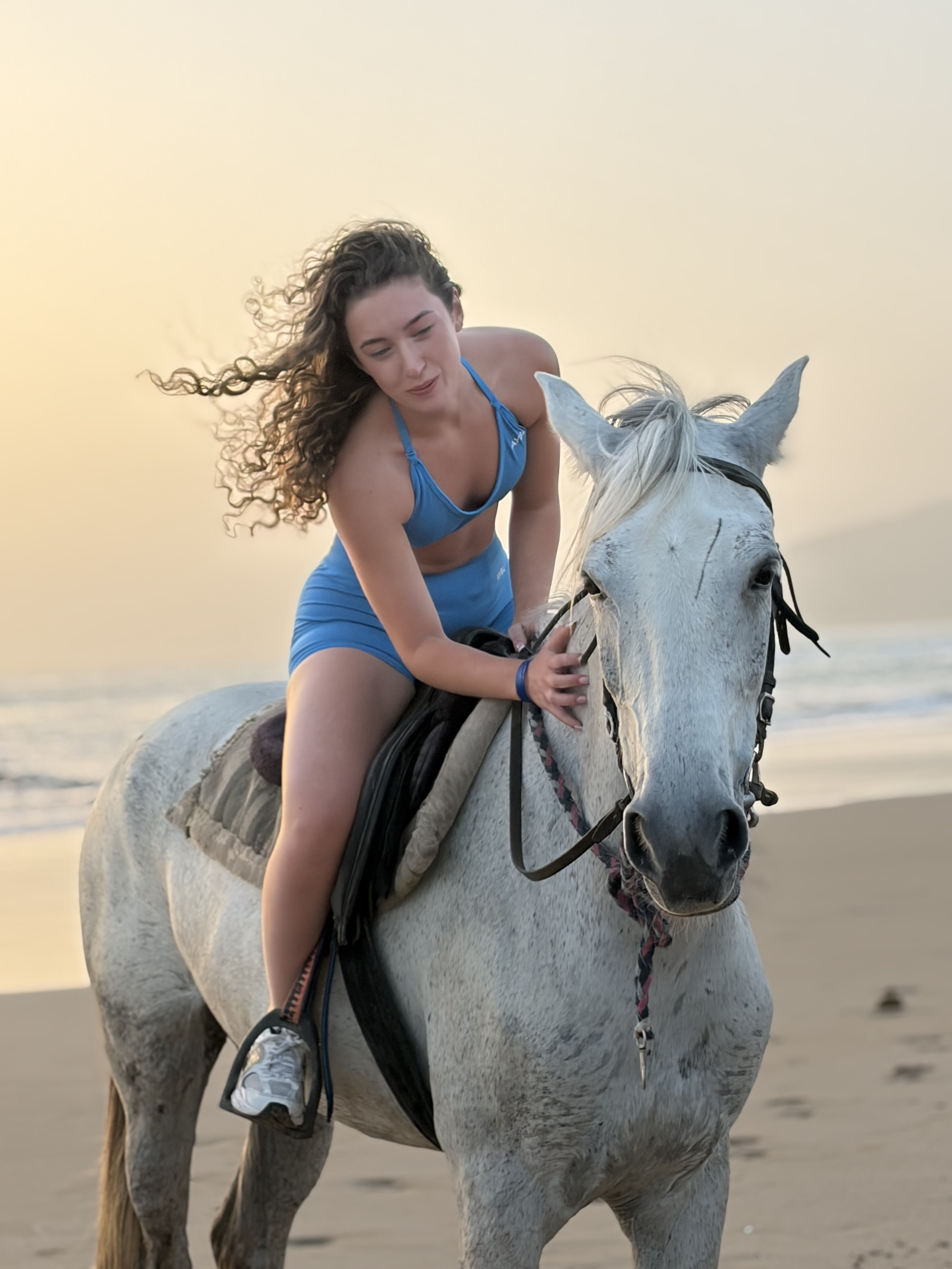 Gentle Barb horse on the golden sand