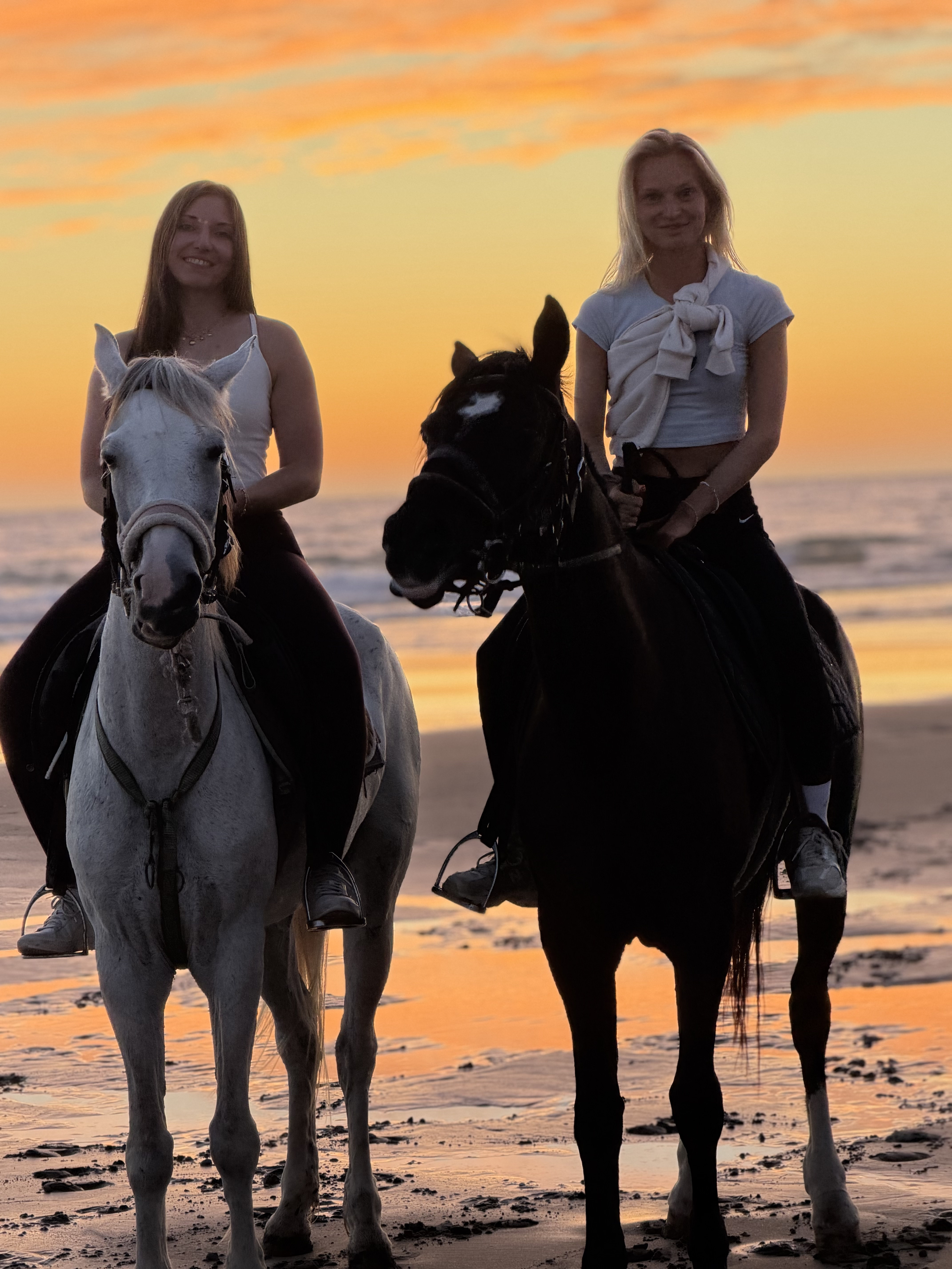 Horseback ride along the Atlantic shoreline