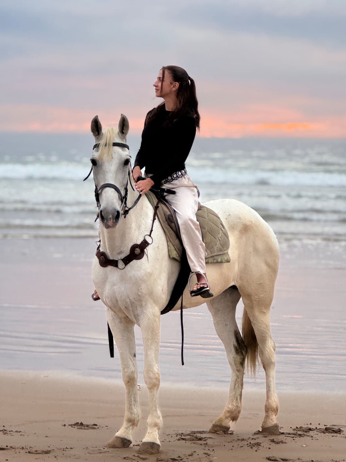 Equestrian sunset portrait on Agadir beach